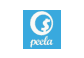 Logotipo da bandeira de cartão Peela