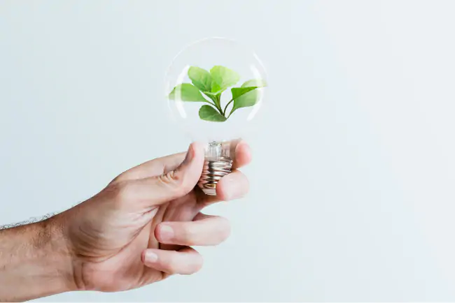 Mão de um homem branco segurando uma lâmpada com uma planta dentro